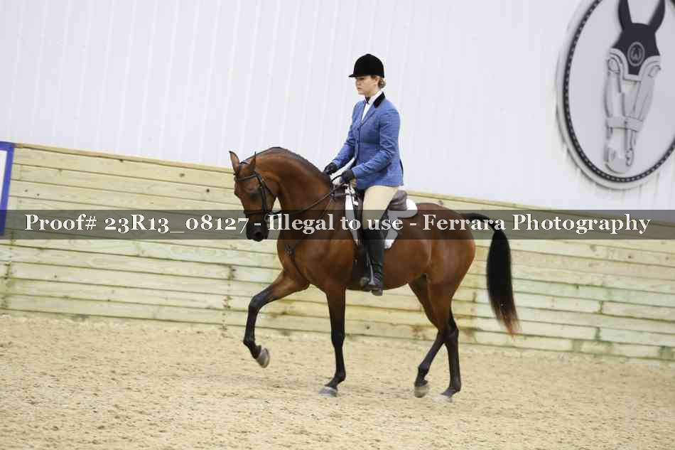 Proof Number 23R13_08127