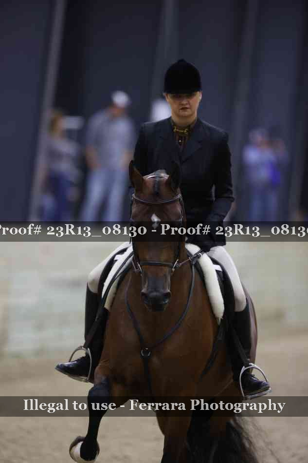 Proof Number 23R13_08130