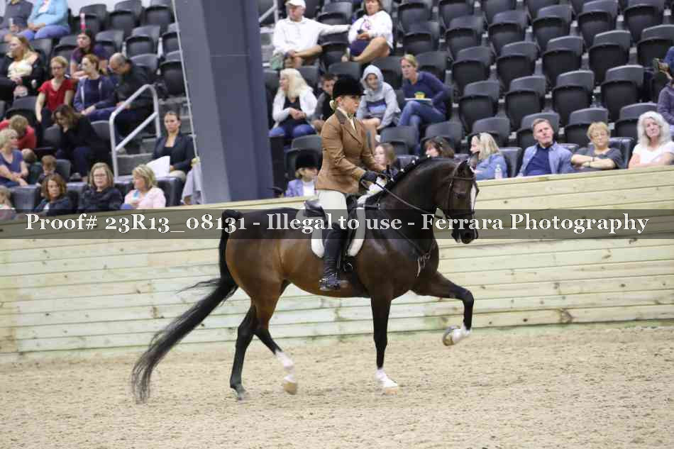 Proof Number 23R13_08131