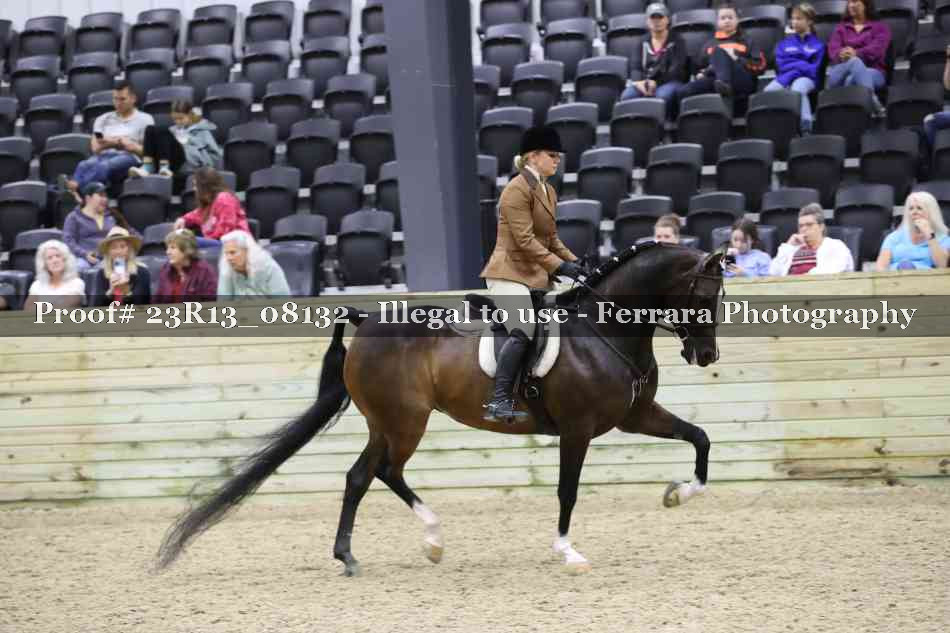 Proof Number 23R13_08132