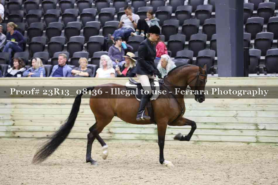 Proof Number 23R13_08136