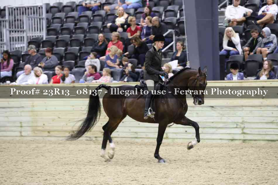 Proof Number 23R13_08137