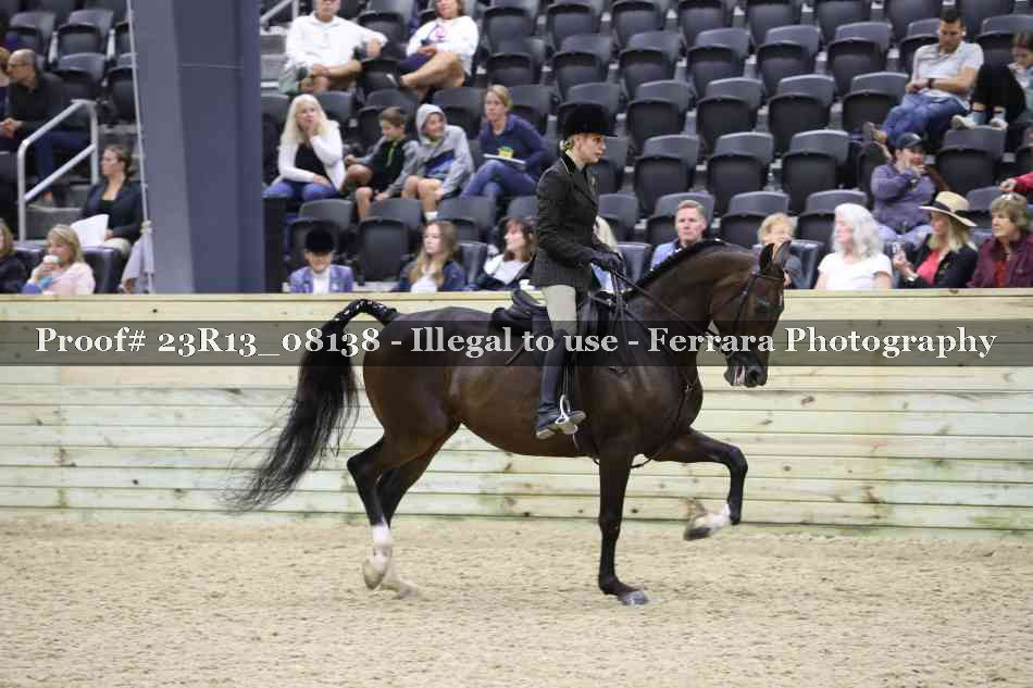 Proof Number 23R13_08138