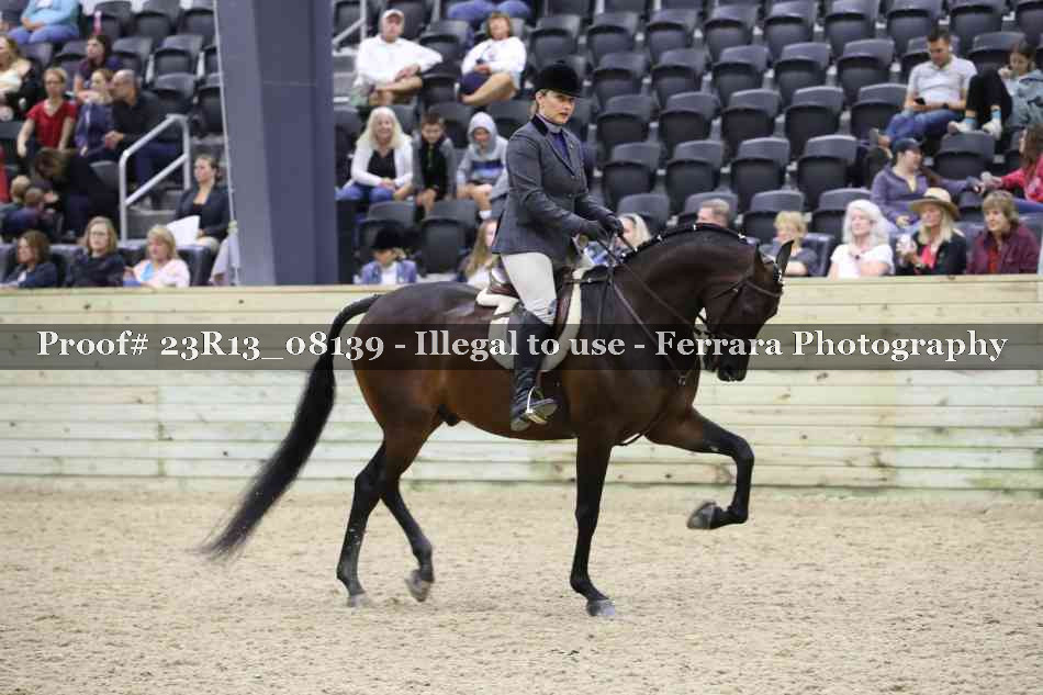 Proof Number 23R13_08139
