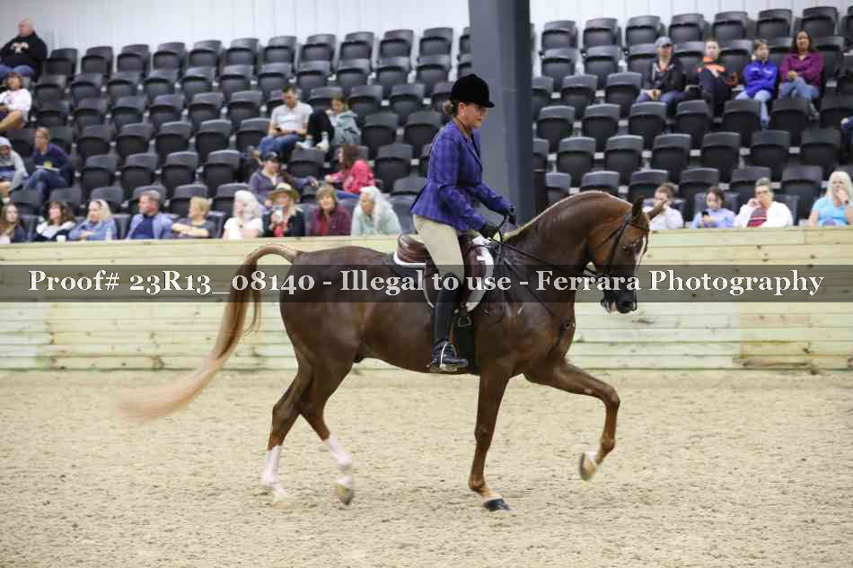 Proof Number 23R13_08140