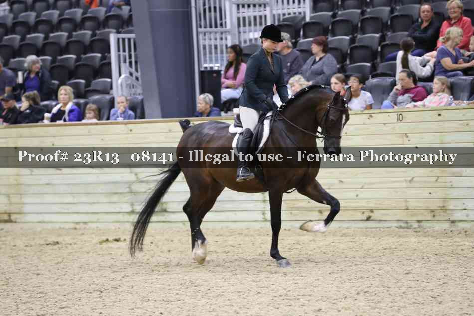 Proof Number 23R13_08141
