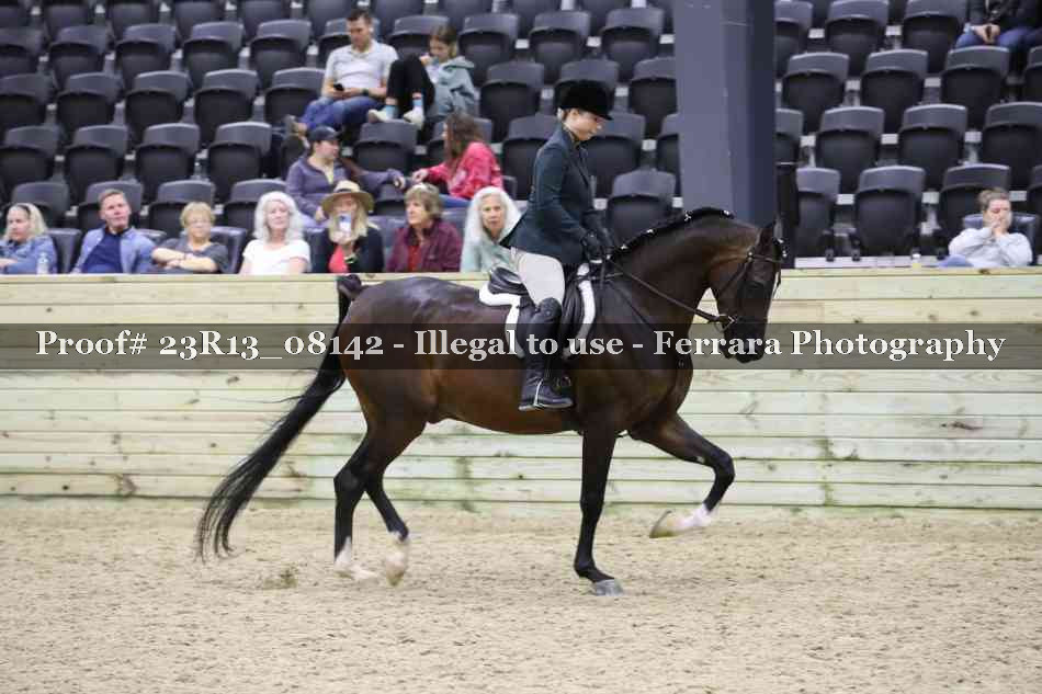 Proof Number 23R13_08142