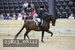 23R13_08142 thumbnail