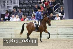23R13_08143 thumbnail