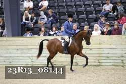 23R13_08144 thumbnail