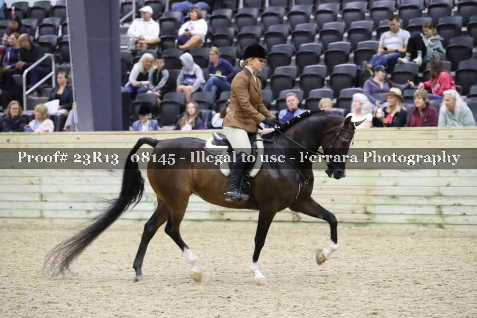 Proof Number 23R13_08145