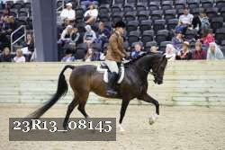 23R13_08145 thumbnail