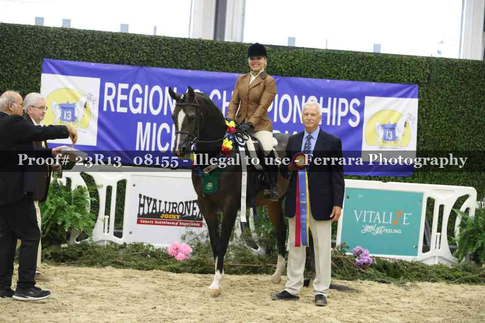 Proof Number 23R13_08155