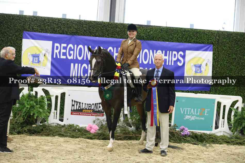 Proof Number 23R13_08156