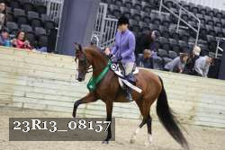 23R13_08157 thumbnail