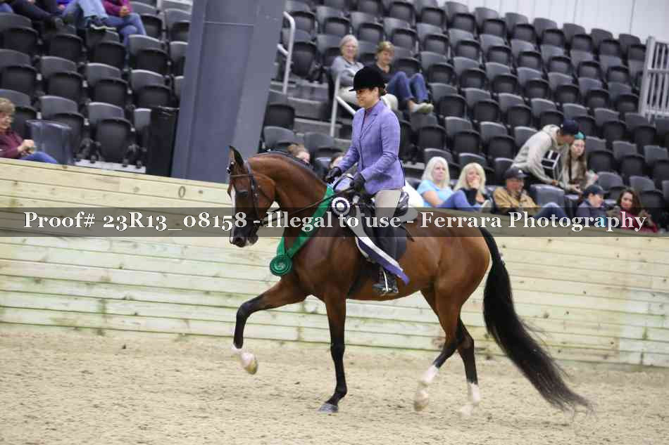 Proof Number 23R13_08158