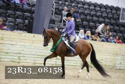 23R13_08158 thumbnail