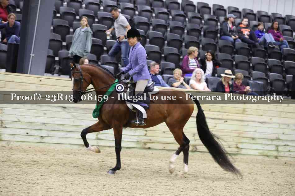 Proof Number 23R13_08159