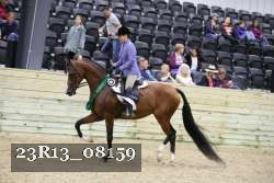 23R13_08159 thumbnail