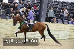 23R13_08160 thumbnail
