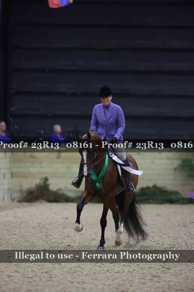 Proof Number 23R13_08161