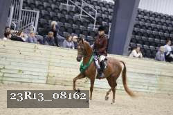 23R13_08162 thumbnail