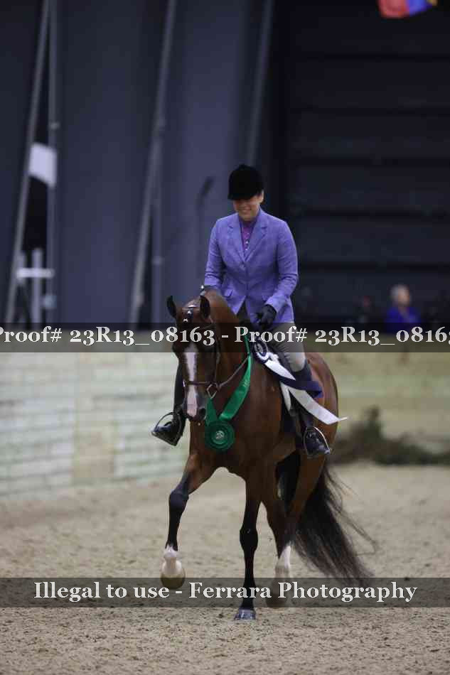 Proof Number 23R13_08163