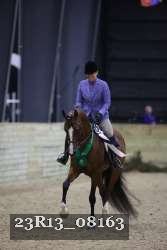 23R13_08163 thumbnail
