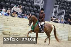 23R13_08164 thumbnail