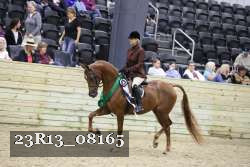 23R13_08165 thumbnail