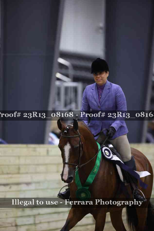 Proof Number 23R13_08168