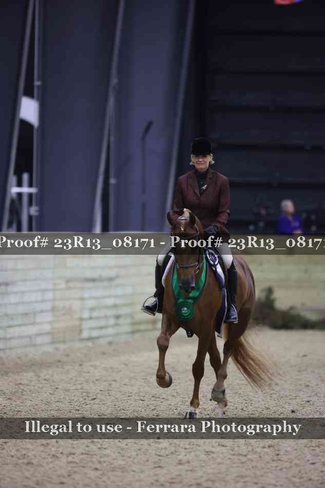 Proof Number 23R13_08171