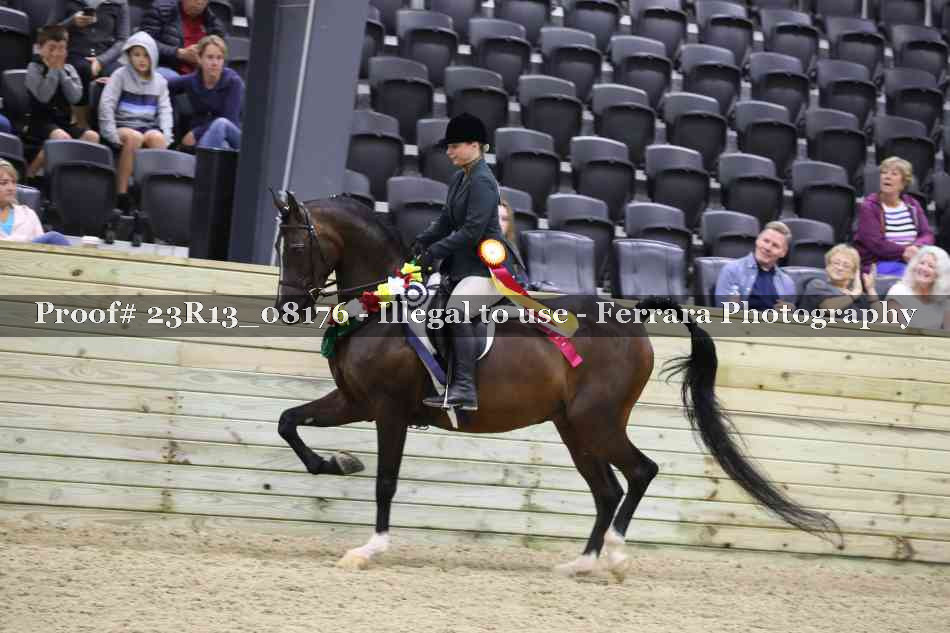 Proof Number 23R13_08176