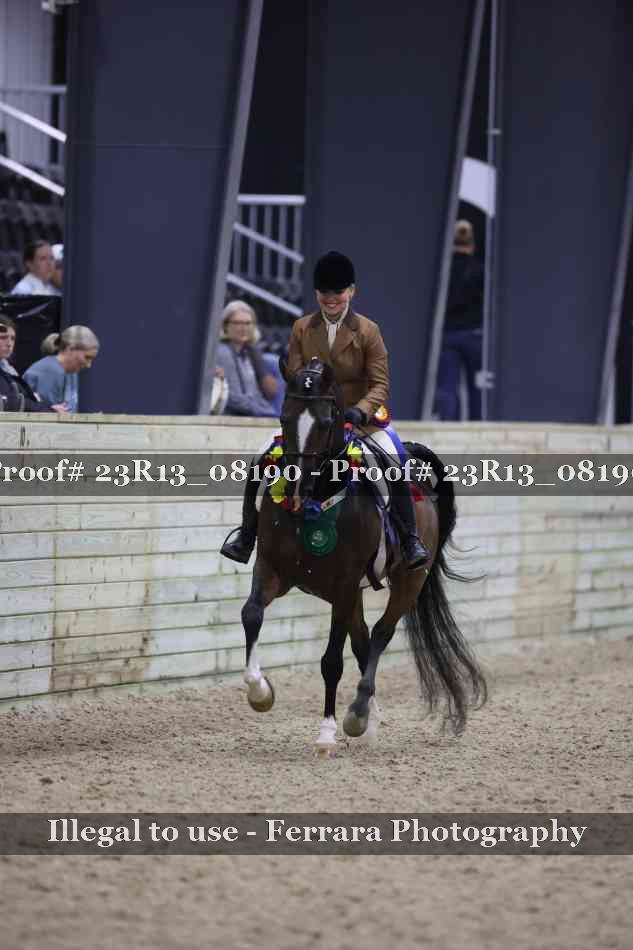 Proof Number 23R13_08190