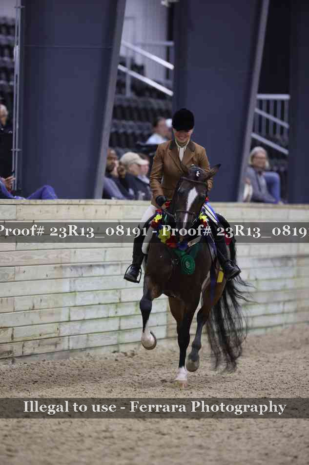 Proof Number 23R13_08191