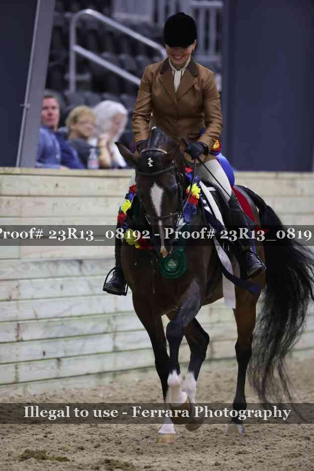 Proof Number 23R13_08192
