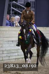 23R13_08192 thumbnail