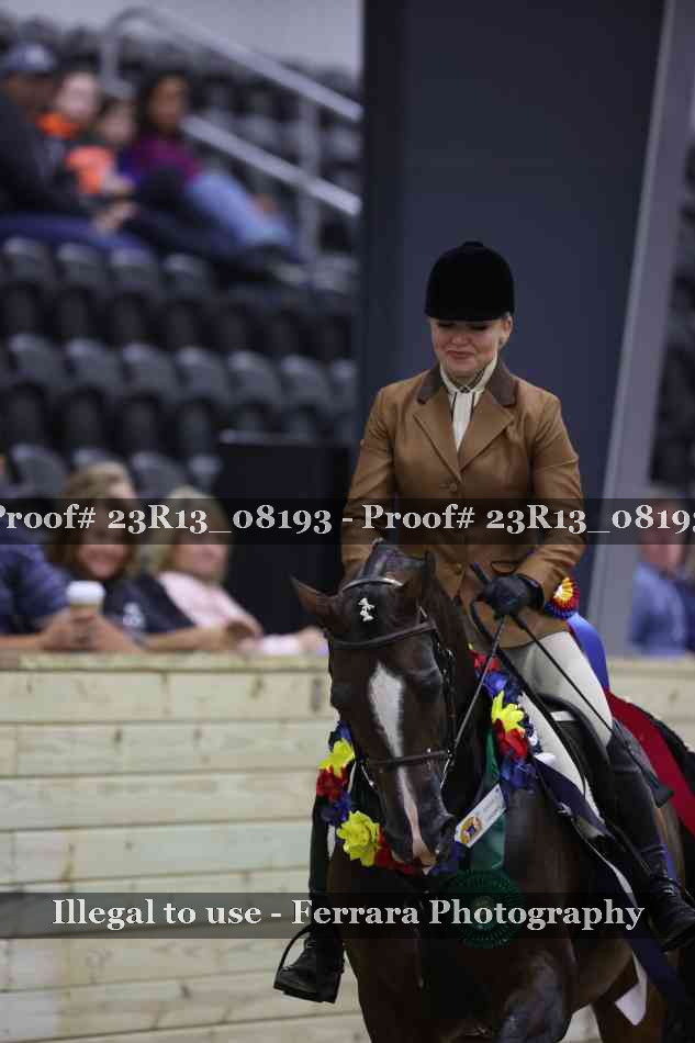 Proof Number 23R13_08193