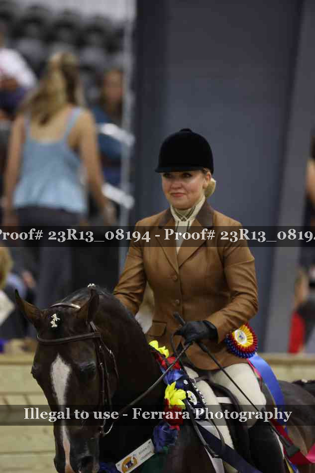 Proof Number 23R13_08194