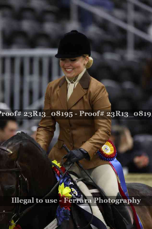 Proof Number 23R13_08195
