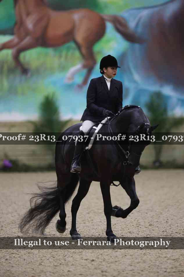 Proof Number 23R13_07937