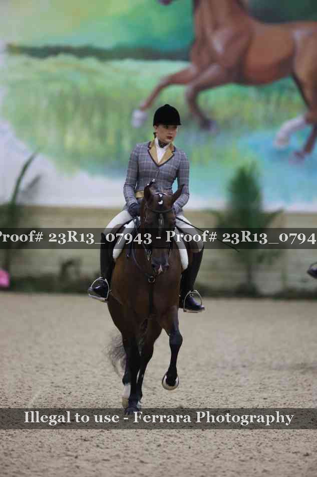 Proof Number 23R13_07943