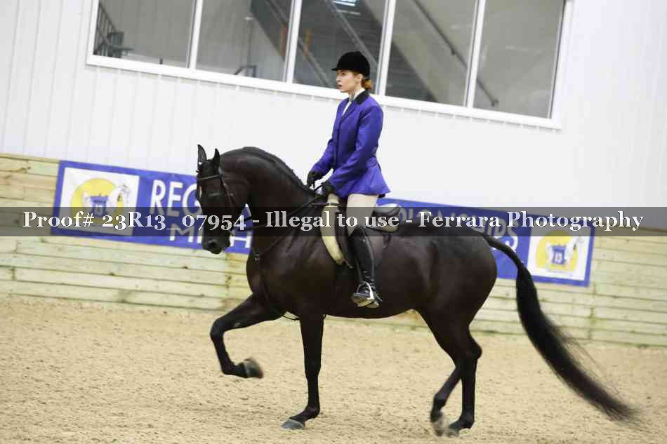 Proof Number 23R13_07954