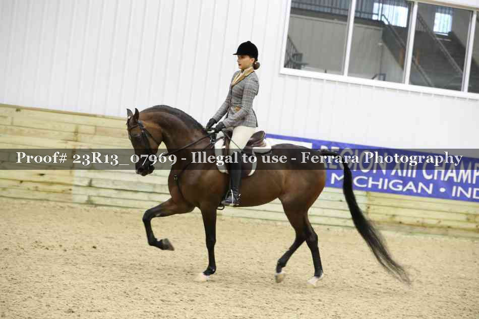 Proof Number 23R13_07969