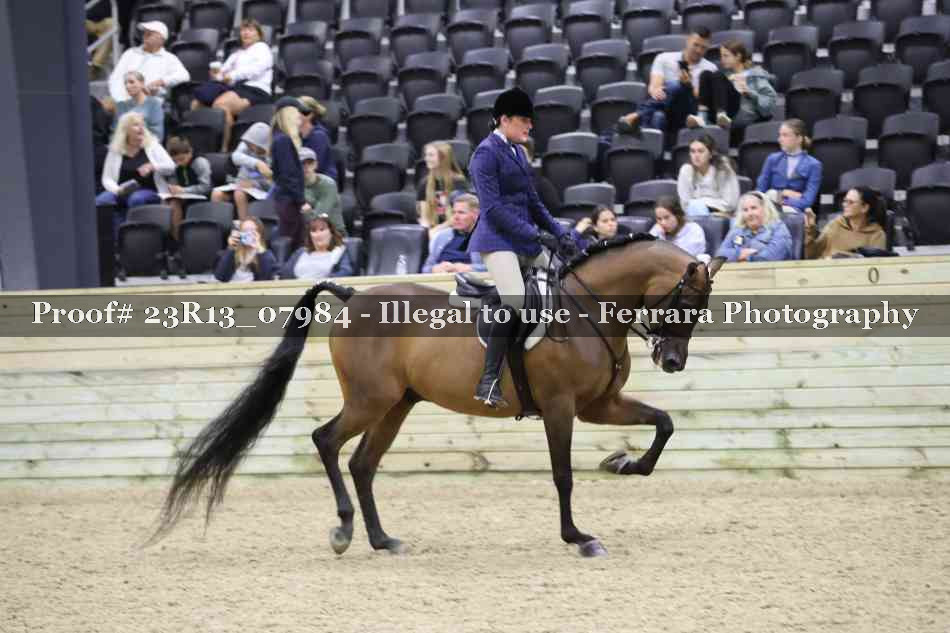 Proof Number 23R13_07984