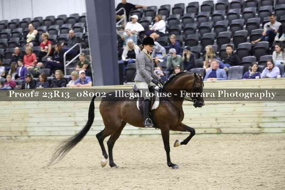 Proof Number 23R13_08002