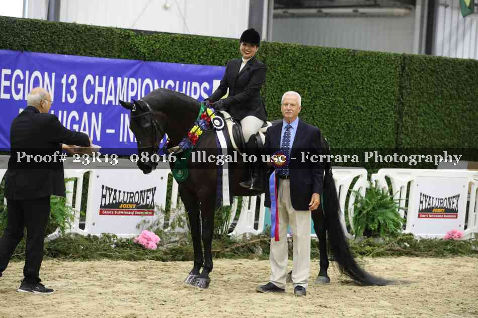 Proof Number 23R13_08016