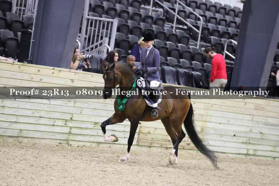 Proof Number 23R13_08019