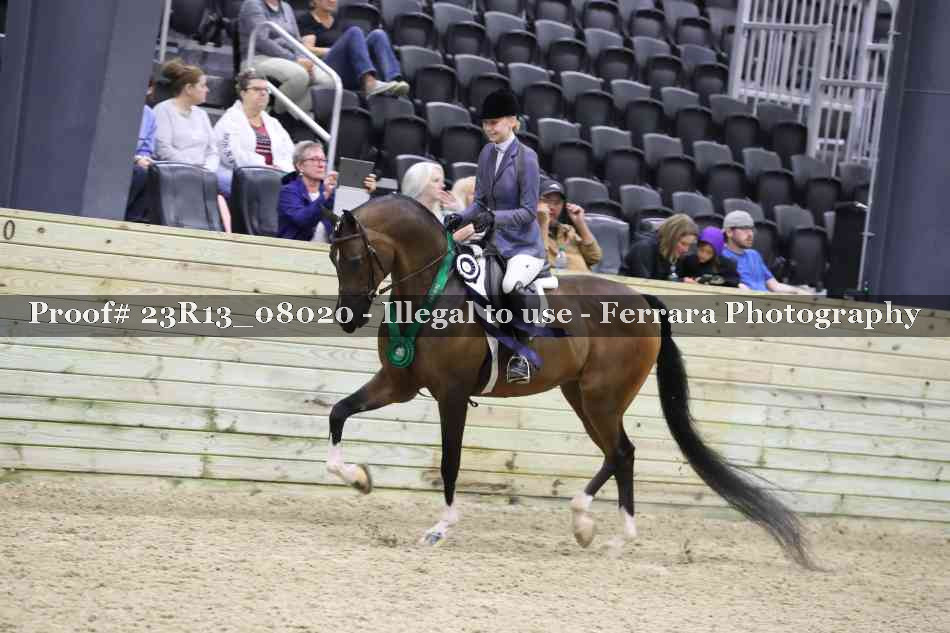Proof Number 23R13_08020