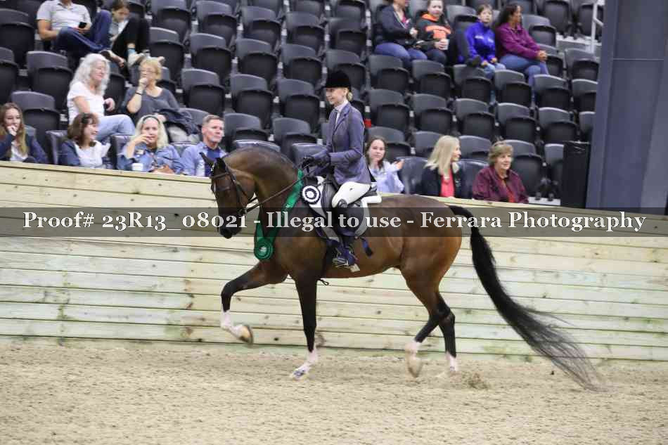 Proof Number 23R13_08021